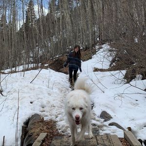 Meet your Posher, Samantha